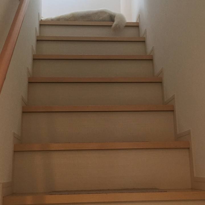 D8a3f23e c717 4573 8bc6 50cf7265eebe