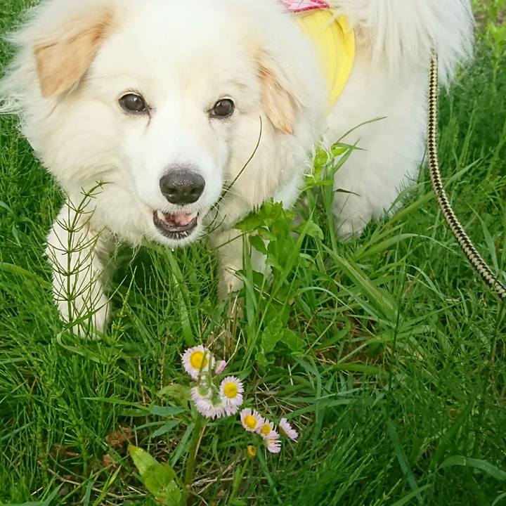 D8a4c68a 9fdc 424e 8974 80f276659a97