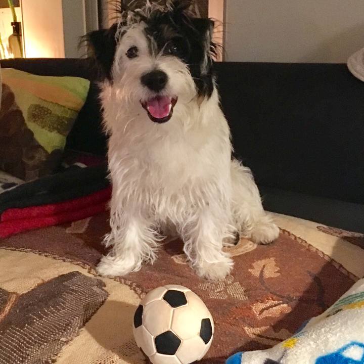 D8a4f5f9 d24d 45cd aede 07861d03d3e7