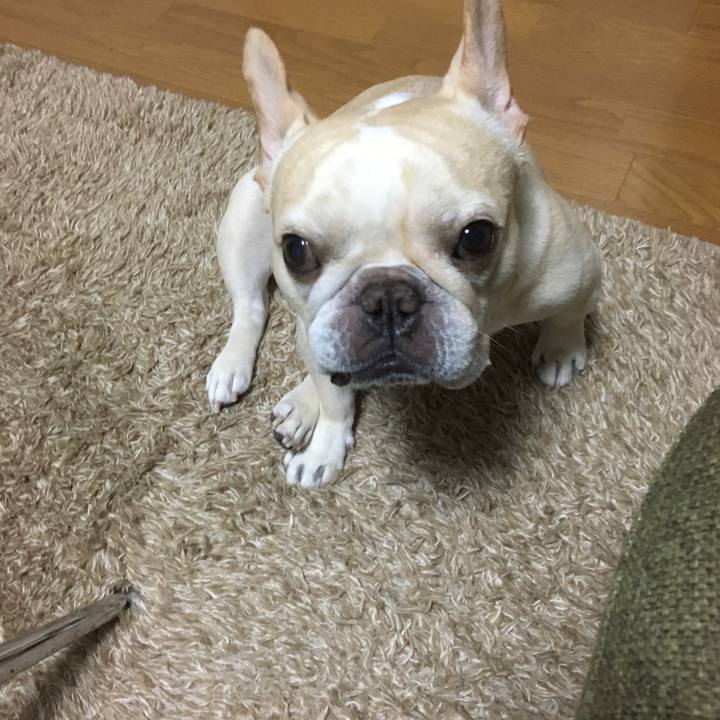 D8a5c14f 782b 45b0 aa09 4b73ba920ec5