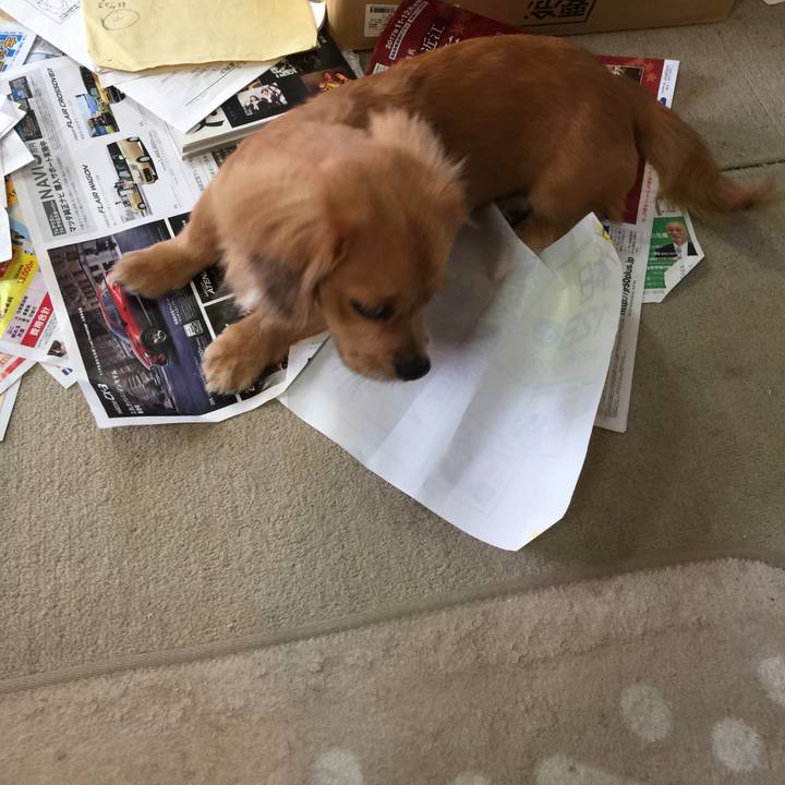 D8a5d3fd 4aa4 4312 a5f3 5086f69f4fa1