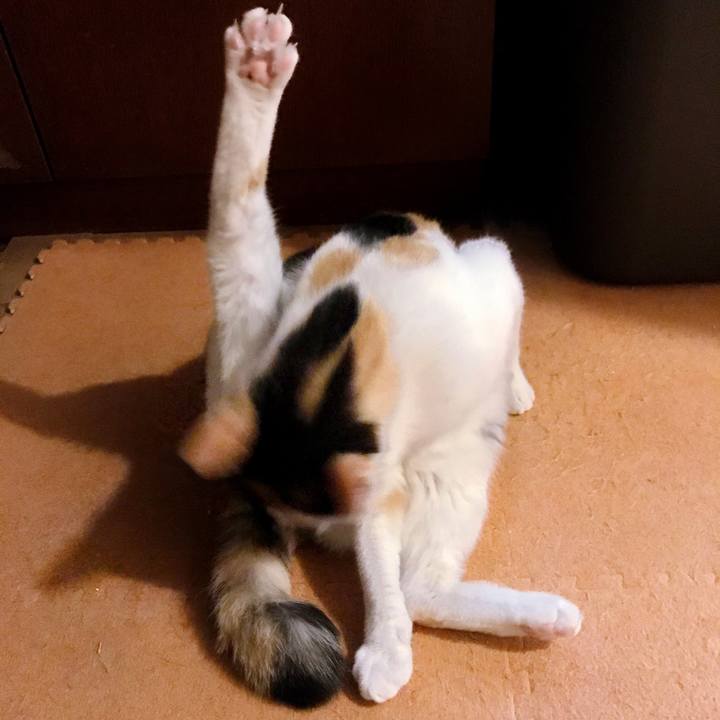 D8a5e5f8 3de8 4d72 8222 b3fae6608ff2