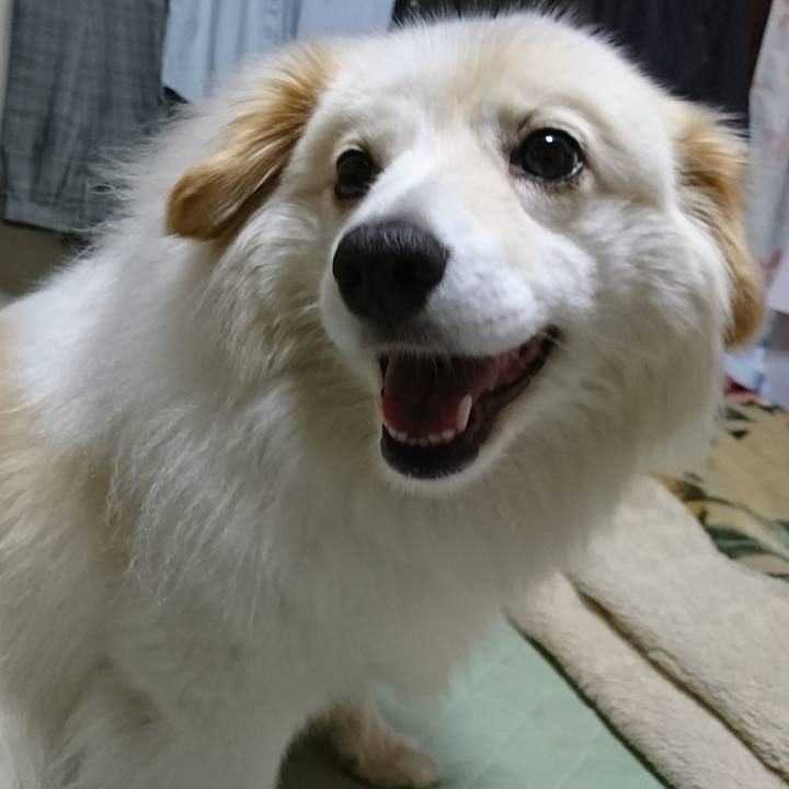 D8a5ff87 9132 426f bc03 f8e74c8295a7