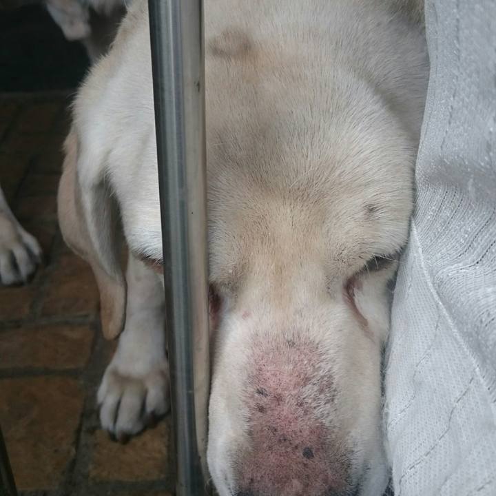 D8a6a6a7 90bc 4c37 9002 3e6c6068147e