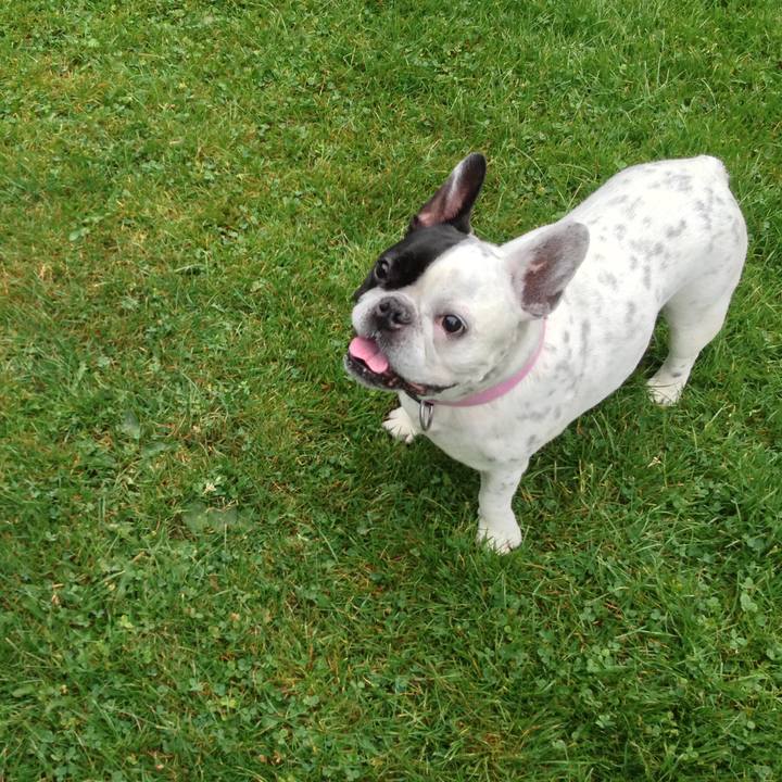 D8a6b6ad 8478 4bd4 a8b3 3fca99ba3ed8