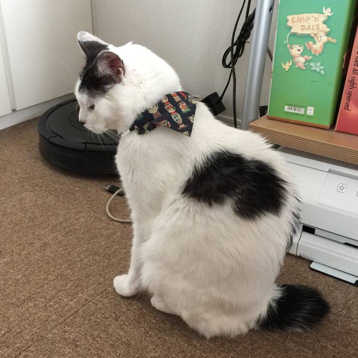 D8a6d3c3 4767 421e a10e 460019632f80