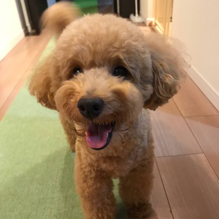 D8a793b5 0874 4298 8e99 01ca891b86c6