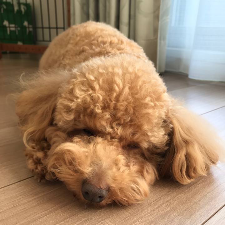 D8a7a8bb 3d12 4da8 b1b4 87c409331bde