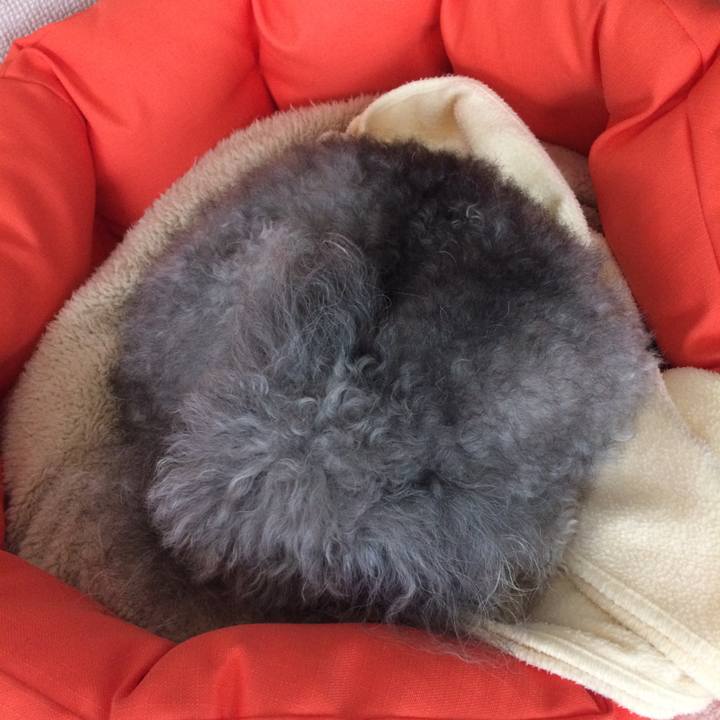 D8a7b7f1 9df8 4a08 b234 79dafc00360b