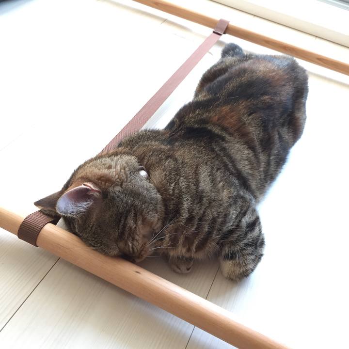 D8a81f18 436d 46ce 9636 b052e112ac62