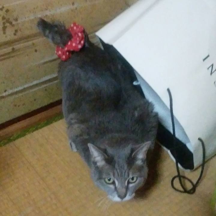 D8a8e07f 641c 455b 8253 017025efadfc