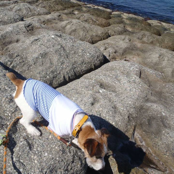 D8a909ed d74f 4f4a 8324 f2ee4477a6fc