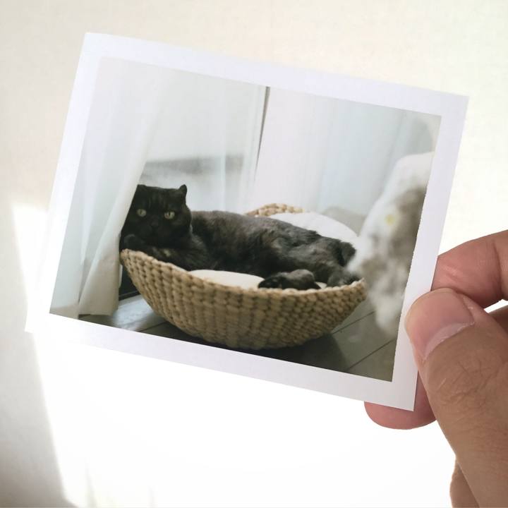 D8a95944 b95b 4ab6 bf10 aca523953649