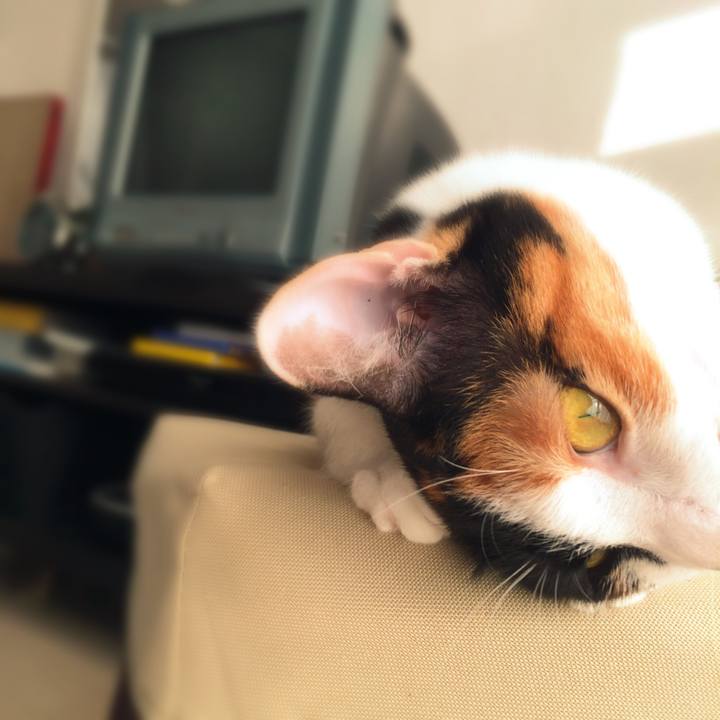 D8a972d3 bab2 45ad af5f b715de2b2c91