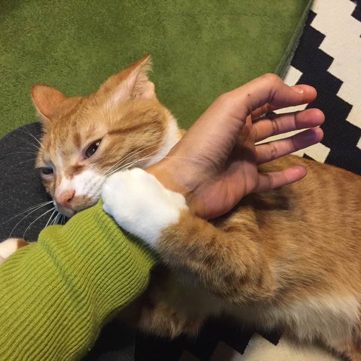 D8a9cb96 6180 4fd9 b527 8769d5633e82