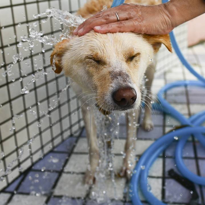 D8a9f82f 495c 48f6 b807 7e21471bcb48