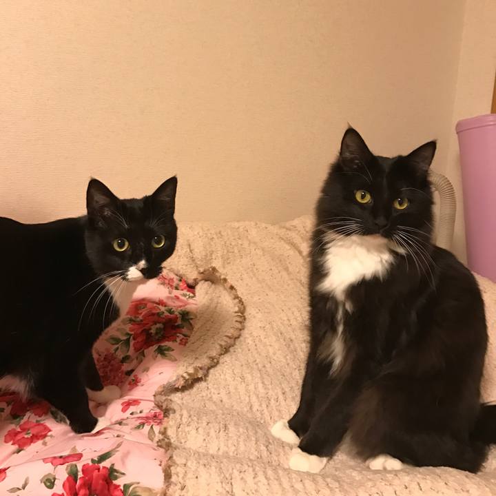 D8aaa73a 5600 44ea ba64 f0a583116d62