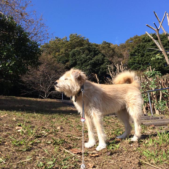 D8aaca40 a943 499b a73e 06162c57e4c2