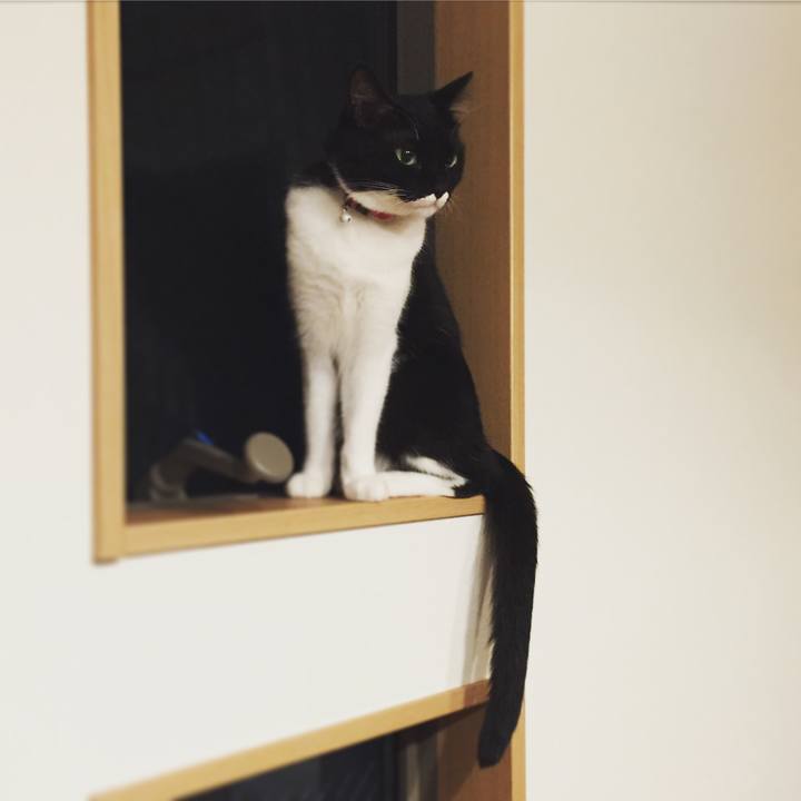 D8aaf1c9 215d 4dba 8f38 cf2075897e2f