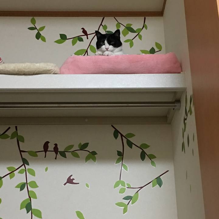 D8ac08fc dffa 4612 8068 56f06613c518