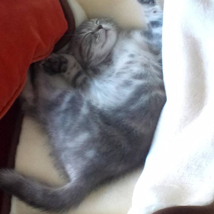 D8acd41b 9b9a 4332 b07f 6f8deefeaf5c