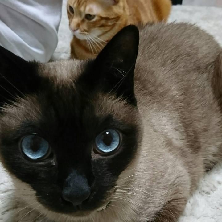 D8ad0113 b61a 47c5 9848 c11d50c403d8