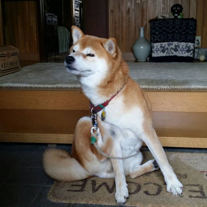 D8ad5f19 bf25 4f9a 8846 652fd55a1a36