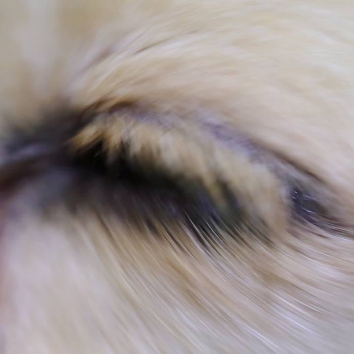 D8ad8d25 d4a3 43fb 9091 7e37dc522350