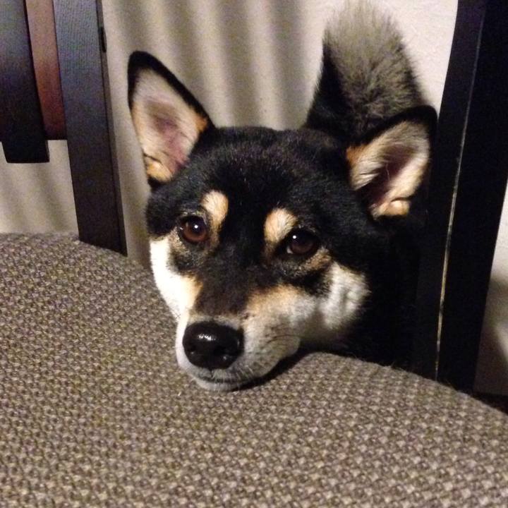 D8aeb3dc f2b7 411c ab32 6f5c25e1a82e