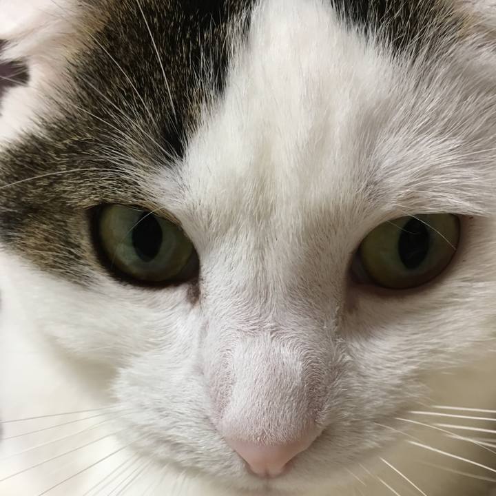 D8aee564 2e88 4d0a 9048 5730cec256c1