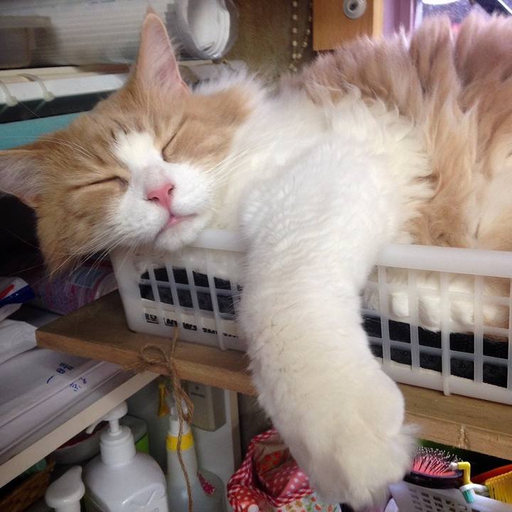 D8afad47 6492 4ebd 9c99 eb40fd30e080