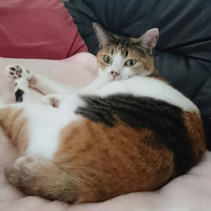 D8b049c9 9610 4e4a 8755 8e6e584424bd