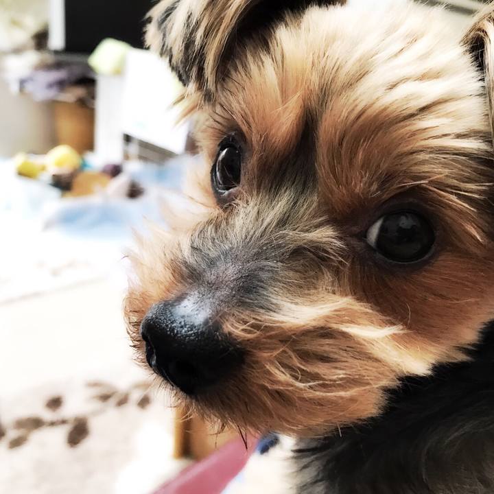 D8b07eda 0e03 4f58 b961 99b89536110b