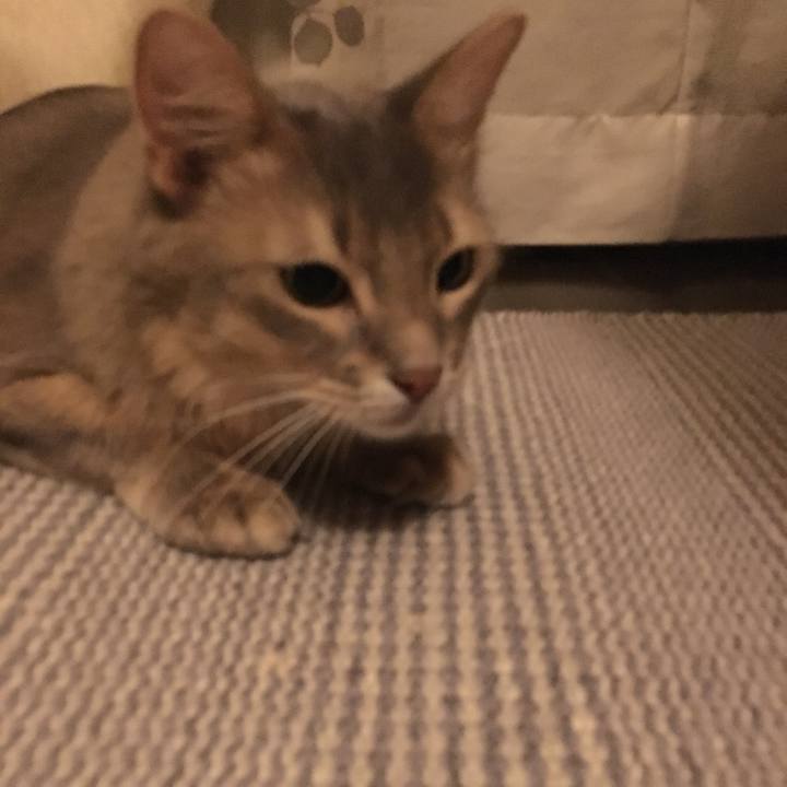 D8b111bc 0176 4fd1 9853 1b939e416b5a