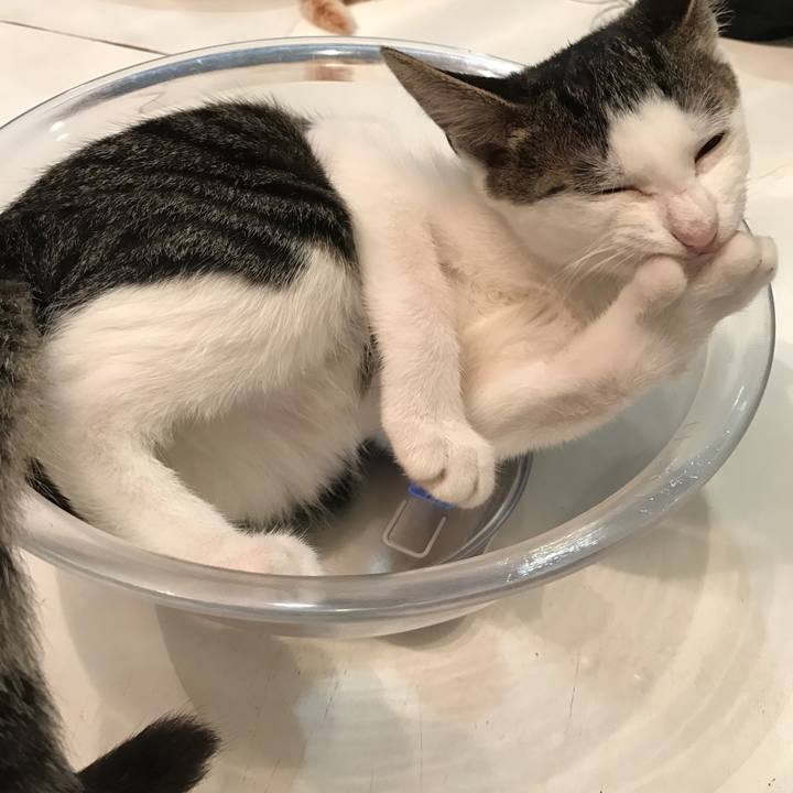 D8b15c69 1651 4726 987a 24b47cf57a72