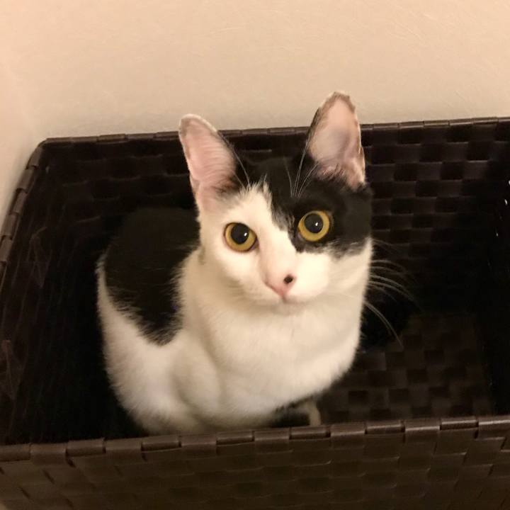 D8b20cfa 0668 4580 a214 4a6b64b0a8ff