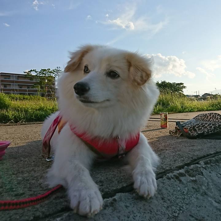 D8b256d5 2ebc 4b76 ae05 4084211562f9