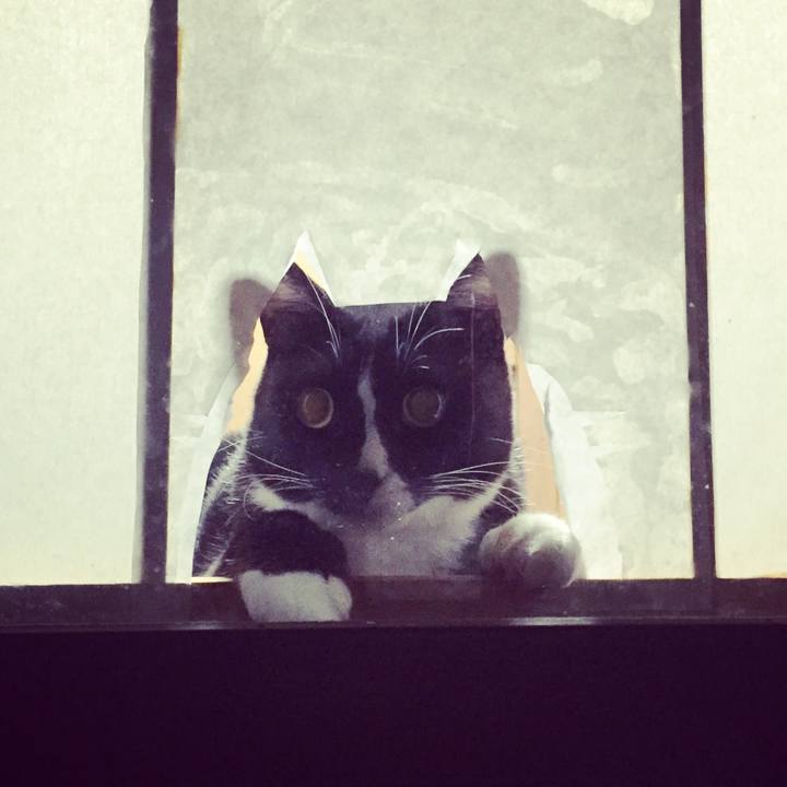 D8b288b0 d534 4062 9c7f ef09a9b438d2