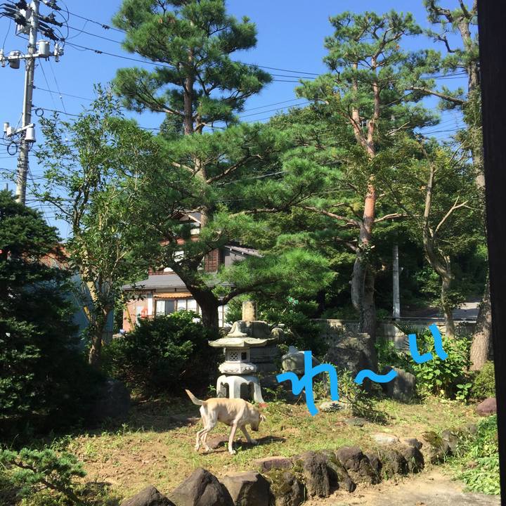 D8b2c422 e343 4e22 8c18 0cac7377269a