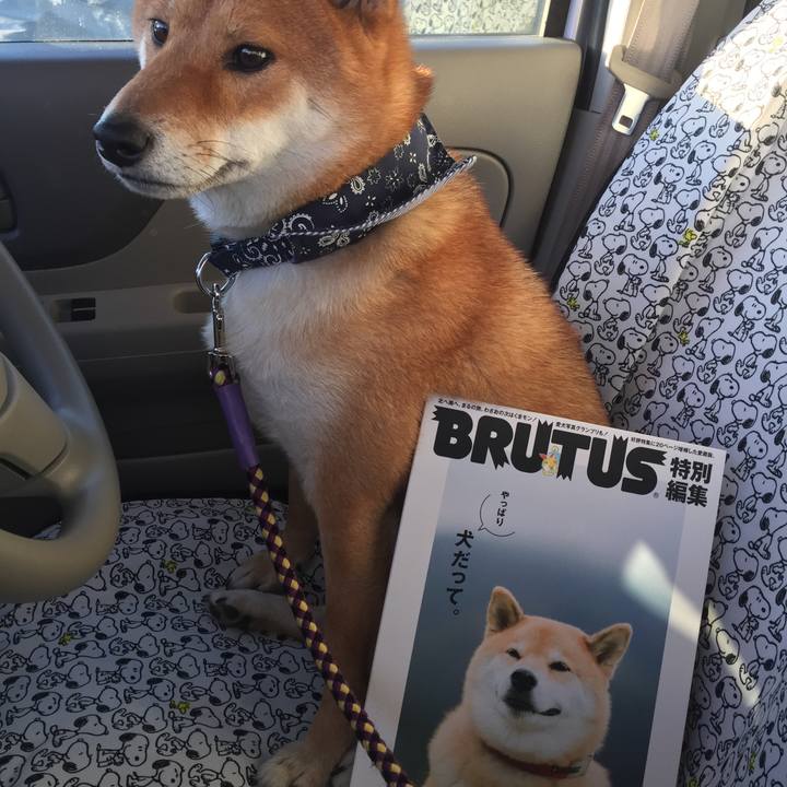 D8b2c6a0 689a 404b a326 311d1f493060