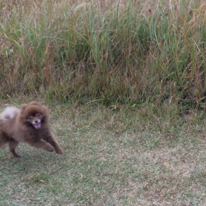 D8b31ec1 e6d2 4cf3 b67d d0ca888ee91d