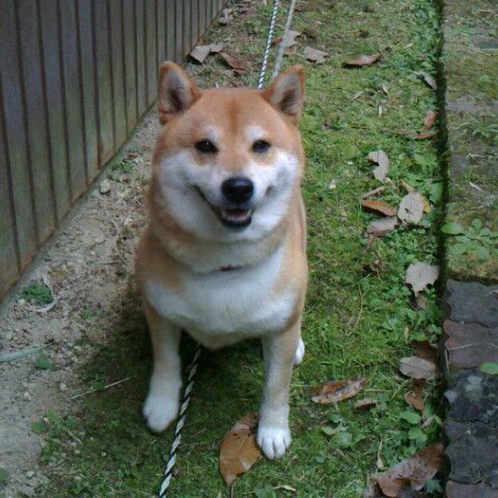 D8b381d0 99c4 4144 96bd faea6baa8b09