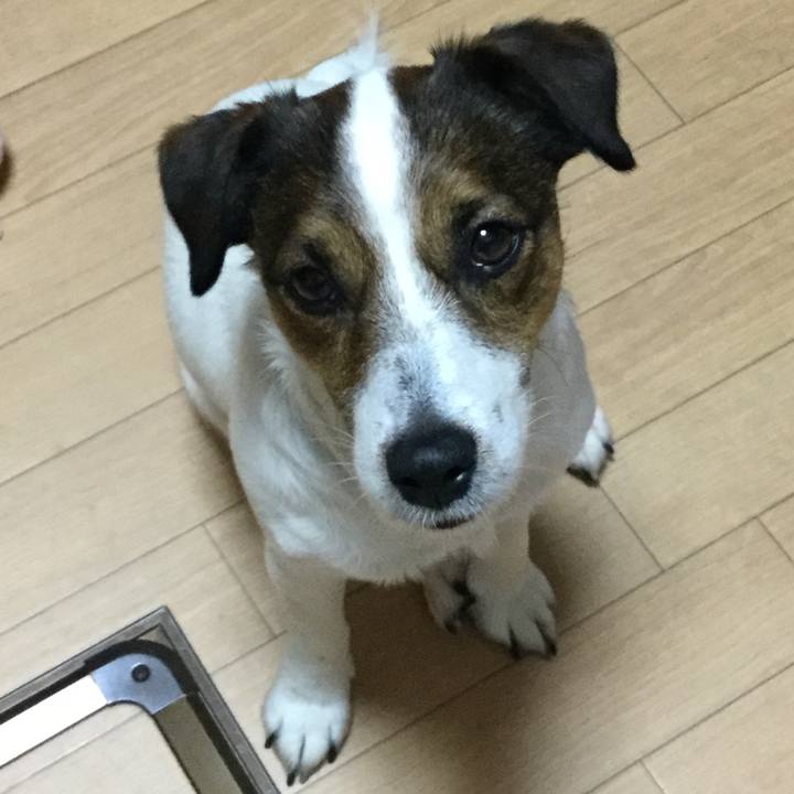 D8b3f714 d62a 41a4 9f65 b20c7ae6c761