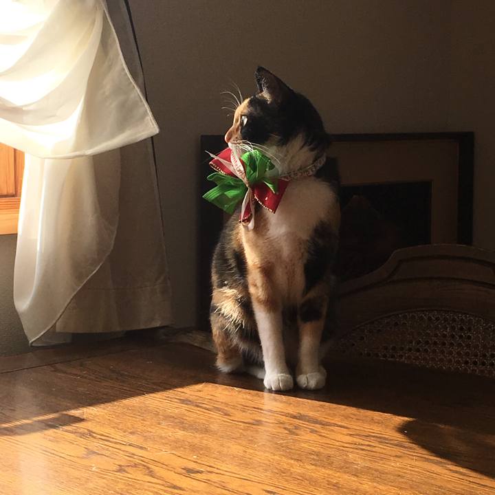 D8b4d140 332b 4df1 8e98 956fd70688ce