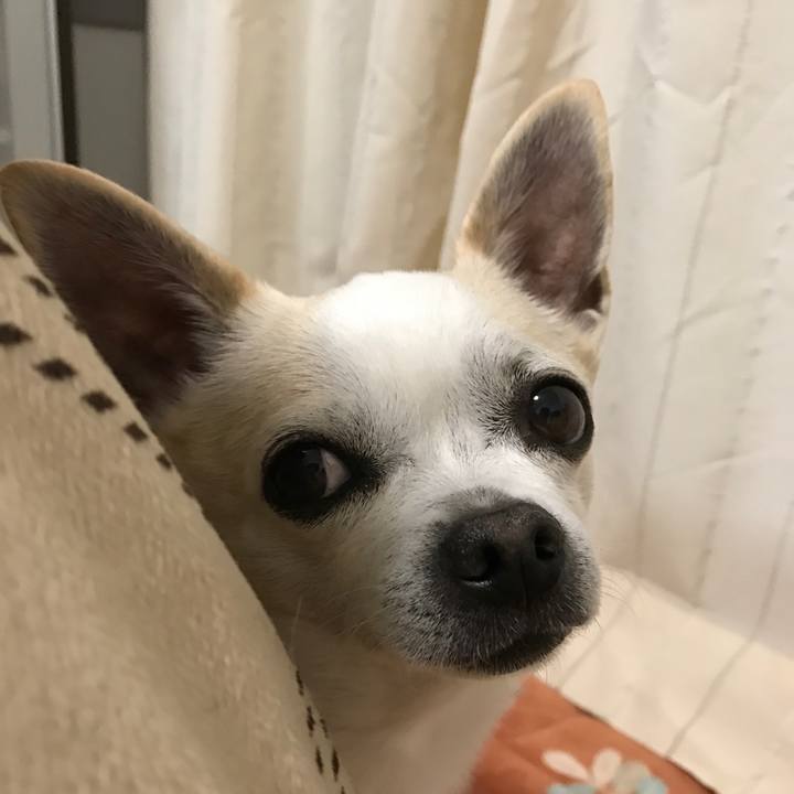 D8b50979 4f3e 4d7f b670 5876c208ecb8