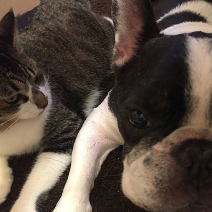 D8b542d4 2335 4f9f b0a5 49a2617b0e1d