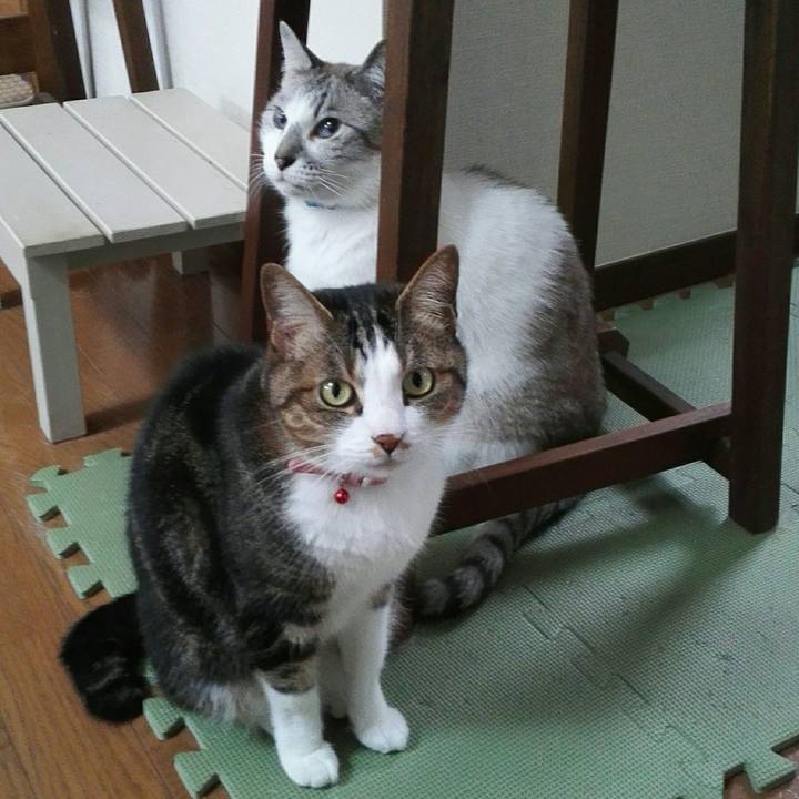 D8b59f48 f82c 4242 839c ce4ba4e67882