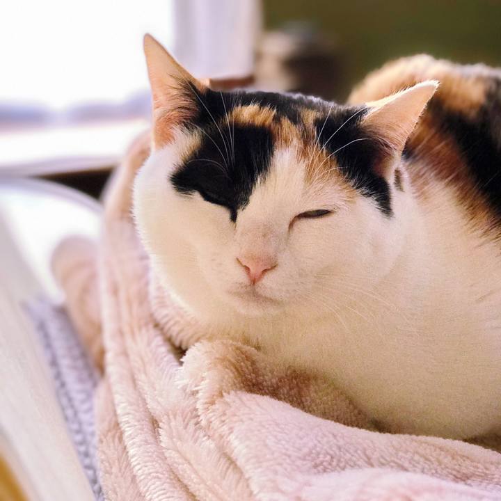 D8b5c71b 9008 4836 ae93 ea4695236e9c