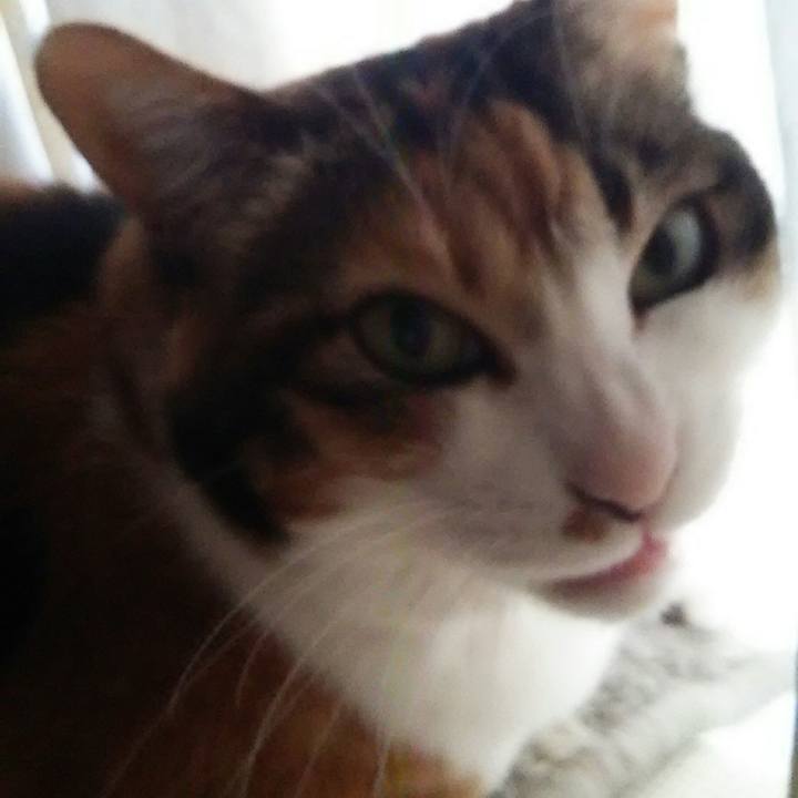 D8b61eb6 bc0c 4786 b765 f2553907d98b