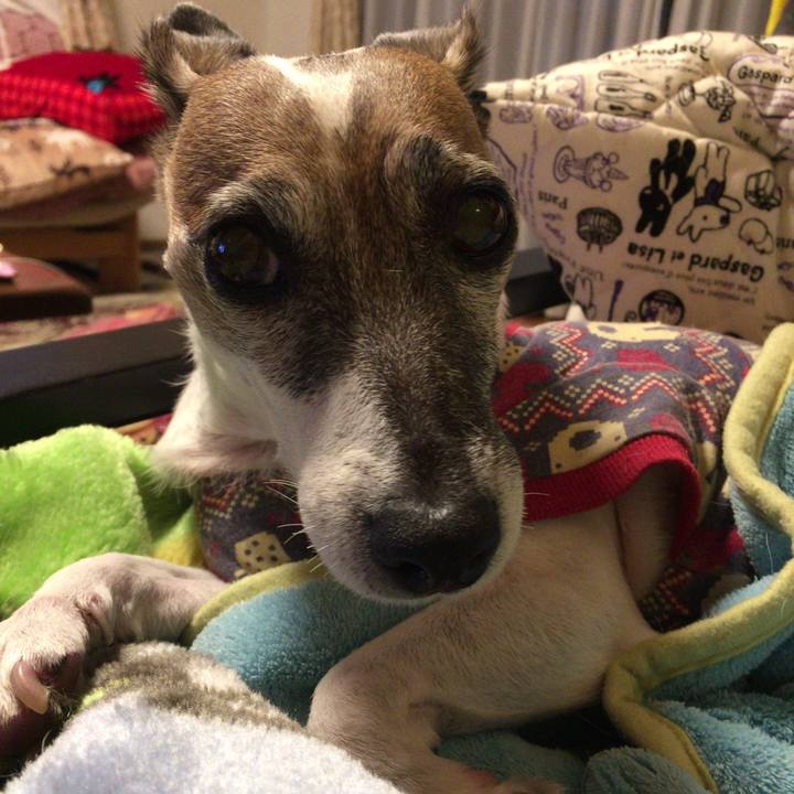 D8b62d73 94cb 4907 9897 bc8e8aef6804